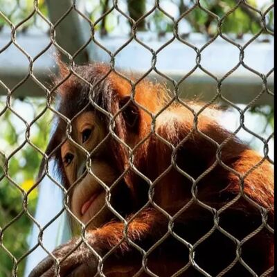 Corrosion Resistant Wire Rope Mesh Protective Netting Suitable For Safety Projects