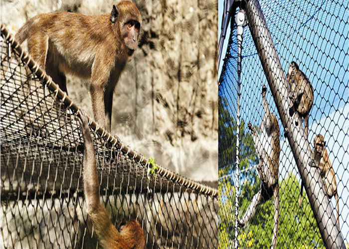 Stainless Steel Aviary Wire Netting with 300-400N/mm2 Tensile Strength 1m Roll Width and Carton Box Packaging