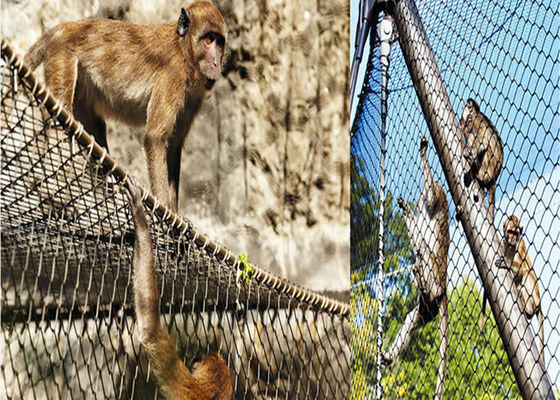 Siatka dla ptaków ze stali nierdzewnej o średnicy 1,5 mm. Opakowanie kartonowe o splocie skośnym