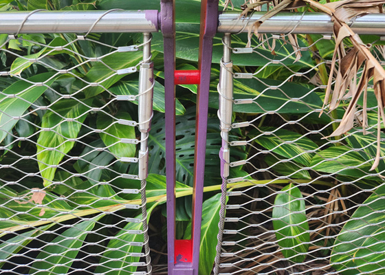 1.2mm Ferrule Cable Mesh Garden Security Plant Wdrażanie 50*50 mm dziury