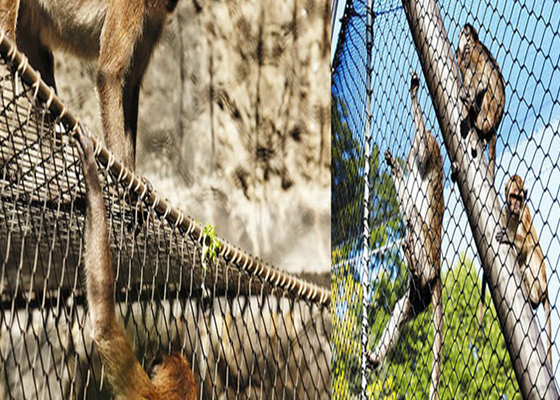 Ogrodzenie zoo z stali nierdzewnej, siatka z drutem dla ptaków, szerokość rolki 1 m, przeciwporzewność