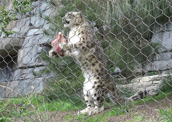 X-Tend trwała sieć kablowa ze stali nierdzewnej do konstrukcji sieci ogrodzenia zoo 7 * 7