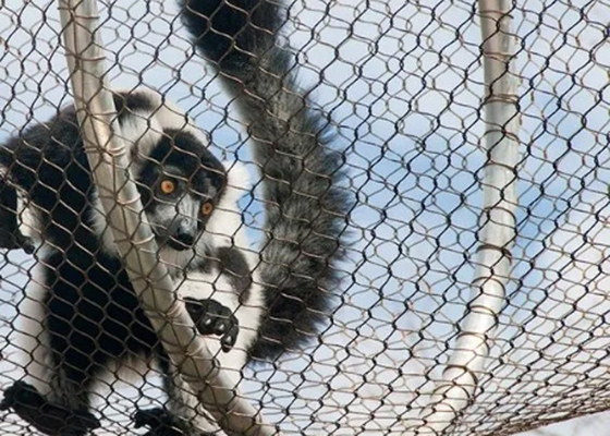 Włókna z żelaza i tkaniny z siecią zoo z otworem 2 mm w 50 mm