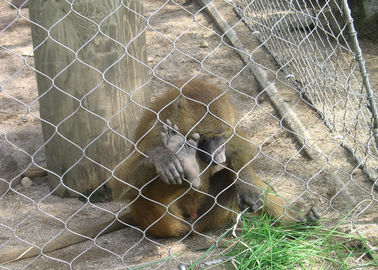Zoologiczna siatka do zwieszania zwierząt o średnicy 3,0 mm, wiązana na drutach