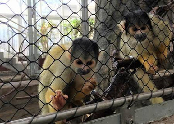 Elastyczna siatka wolframowa z czarnym tlenkiem SS Siatka z siatki diamentowej