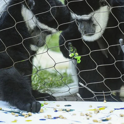 Siatka druciana o średnicy 3 mm do klatek ochronnych ogrodu zoologicznego Ogrodzenie zewnętrzne bezpieczeństwa
