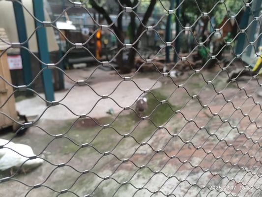Twill Weave 2mm Aviary Wire Netting Nierdzewna Wire Rope Bird Netting Ogrodzenie Zoo