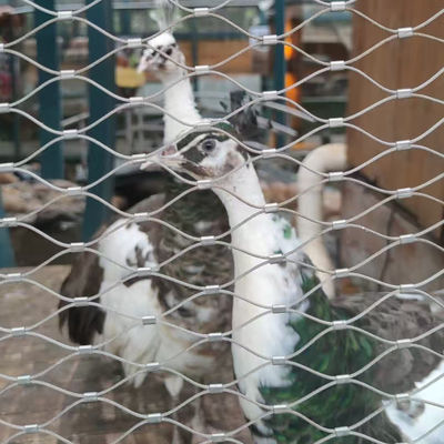 Sieć drutowa dla ptaków elastyczna sieć kablowa do ogrodzenia ogrodów zoologicznych