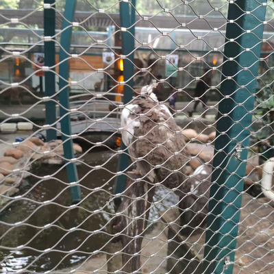 SS304 SS316 sieć liniowa ze stali nierdzewnej sieć kablowa bezpieczeństwa zoo