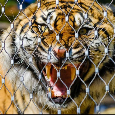 316 Sieć z liny ze stali nierdzewnej do ogrodzenia ptaków w ogrodzie zoologicznym