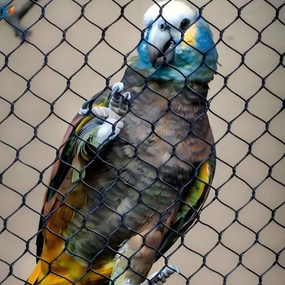 SS 304 316 Ogrodzenie Zoo Mesh Elastyczna sieć kablowa do ptaków
