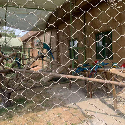 304 316L sieć ze stali nierdzewnej sieć ptasia sieć zoo sieć liniowa