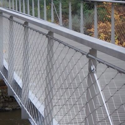 Diamentowe żelazo nierdzewne żelazo żelazo żelazo żelazo żelazo żelazo