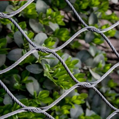 Elastyczna sieć kablowa ze stali nierdzewnej przeznaczona do bezpieczeństwa w projektach architektonicznych