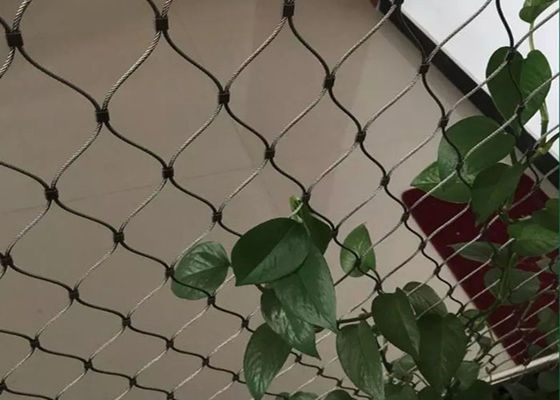 Zielona ściana dekoracyjna Elastyczna siatka kablowa ze stali nierdzewnej 100x100mm