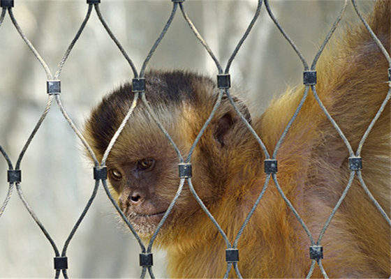 Siatka druciana o wysokiej wytrzymałości 1,5 mm do klatek dla ptaków wolierowych w zoo