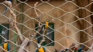 Jak wygląda tkana siatka kablowa ze stali nierdzewnej